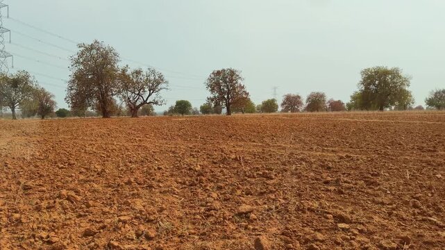 Low angle tracking shot across dry plowed farmland with rough soil texture, scattered trees in background under clear sky, rural landscape during hot season in India heat