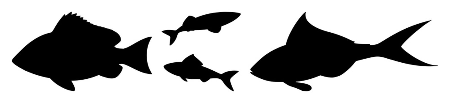 Fins set with black silhouettes against a white background featuring marine, aquatic, piscine motifs with simplified outlines and minimalist style