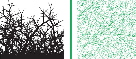 Black thorny branch silhouette and green abstract scratchy texture vector illustration isolated on white background © reza