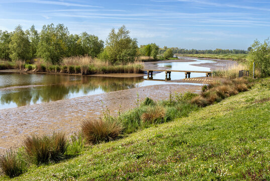 Low water level in the tidal freshwater delta of the Biesbosch National Park, Netherlands