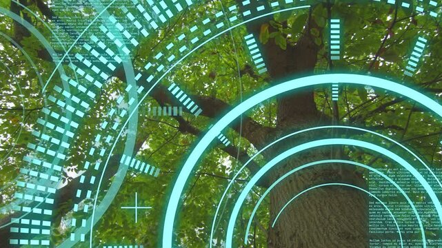 HUD activating near trunk, starting rings expanding, scanning branches, visualizing canopy data