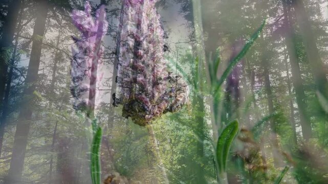 Fade starting purple flower head clearing and drifting as forest softening revealing layered scene
