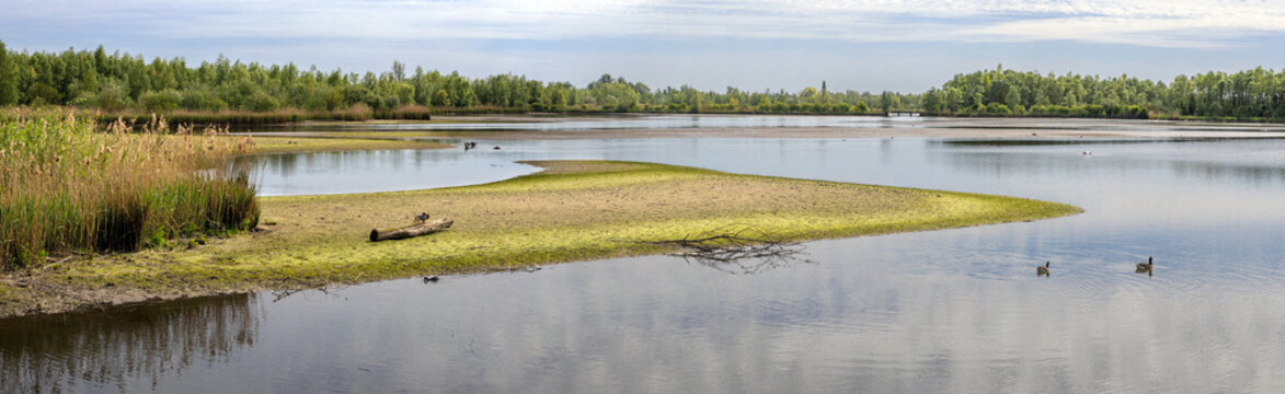 Low water level in the tidal freshwater delta of the Biesbosch National Park, Netherlands