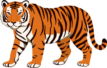 Fototapeta premium Tiger Big Cat Wildlife Illustration