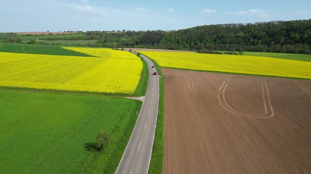 Flying over rapeseed fields in bloom, divided by a street