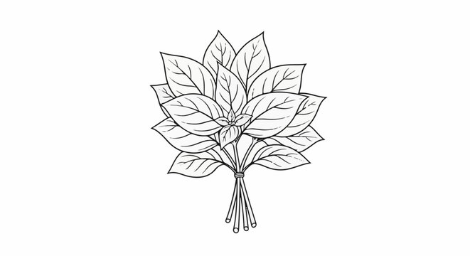 Black and white sketch of a bunch of basil leaves tied together at the stems