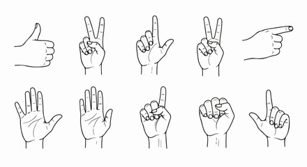 Fototapeta premium Collection of black and white line drawings of human hands showing various gestures