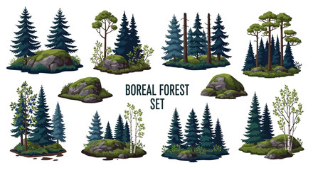 Collection of boreal forest elements featuring coniferous trees birch trees boulders and mossy ground patches © Faisal