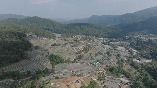 Wide POI Shot of Rice Cultures Under Greenhouse &ndash; Mae Cham Mountains