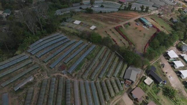 Film Introduction Shot of Rice Greenhouses &ndash; Mae Cham Mountains