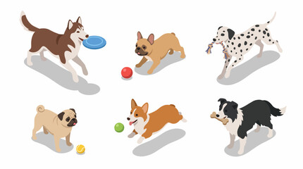 Fototapeta premium A vibrant collection of six playful dogs including a husky, pug, corgi, and more, joyfully engaging with toys like frisbees and balls, showcasing their lively spirit.