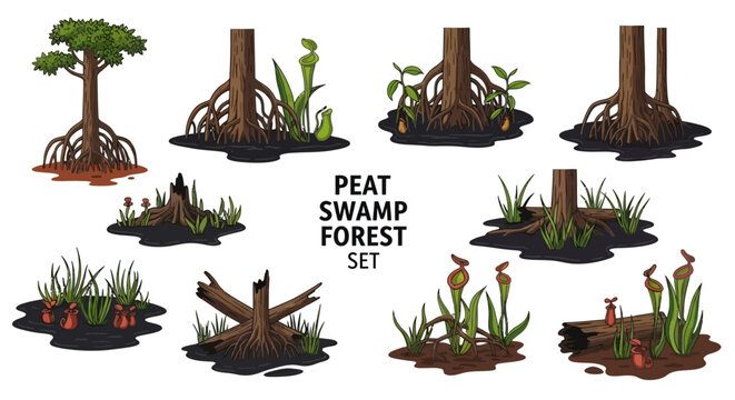 Illustration set of peat swamp forest elements including trees with prop roots pitcher plants tall grasses and logs