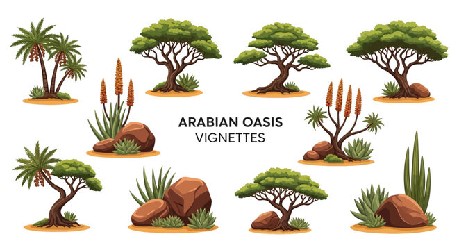 Illustration showing nine varied botanical vignettes of desert trees succulents and rocks against a white background