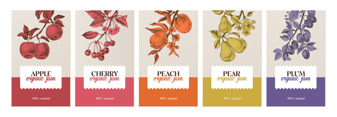 Fototapeta premium Fruit jam vector labels set