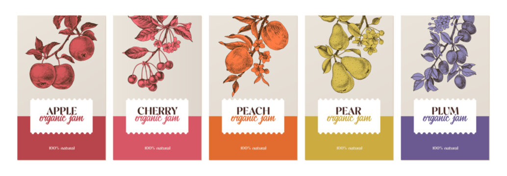 Fruit jam vector labels set