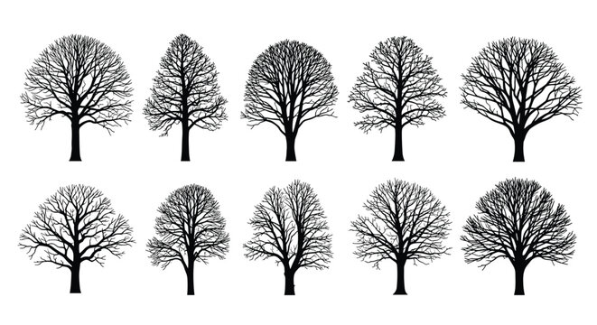 Set of ten black silhouettes showing various deciduous tree shapes without leaves, useful for landscaping and nature designs.