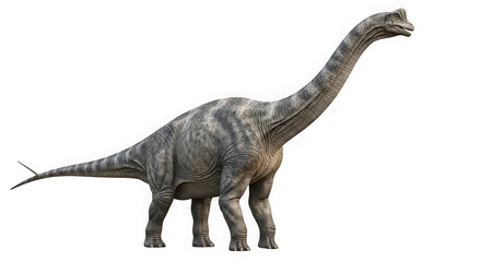 Fototapeta premium Brachiosaurus dinosaur, a giant herbivore isolated on transparent background