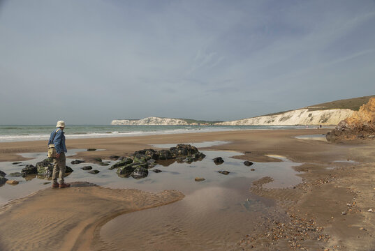 Freshwater Bay from Compton Bay Isle of Wight