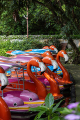 Close up of bright flamingo shaped paddle boats with striped canopies docked by lake in Guangzhou China amusement park attraction for family leisure and tourism © Danila