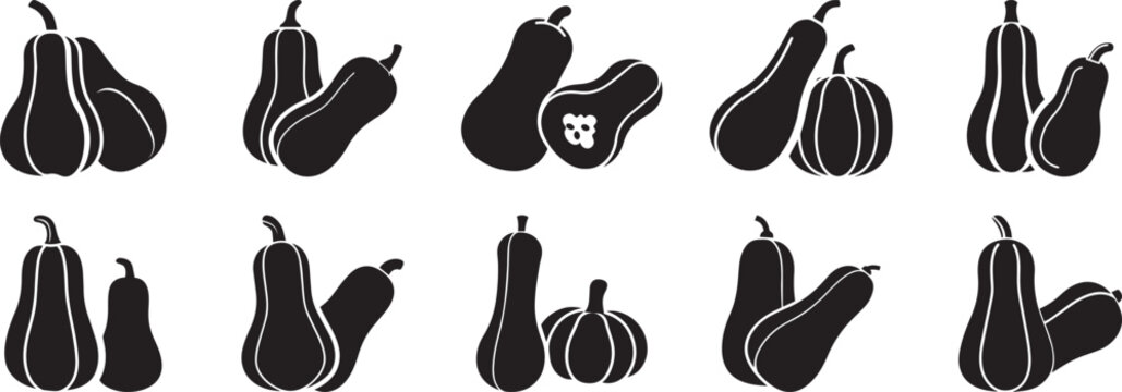 Butternut squash vegetable silhouette vector, black and white silhouette vector illustration