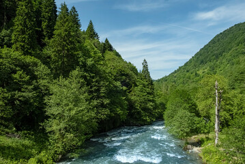 Dynamic river cascades through forest valley. This pristine mountain landscape features vibrant green trees and fresh flowing water in a wild, serene environment. Pristine wilderness conservation. © ismailgazel