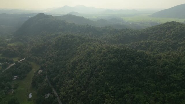 A cinematic drone shot of rolling green hills and dense tropical forests in Assamduring a hazy morning, showcasing authentic natural beauty.