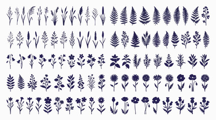 Fototapeta premium Botanical silhouettes set, wild herbs, flowers, and grass vector illustrations