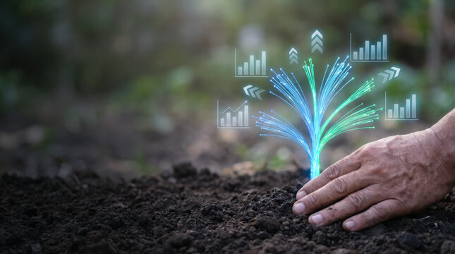 Hand planting glowing tree growth chart soil seedling business ecology nature hand digital, SEO assistant data