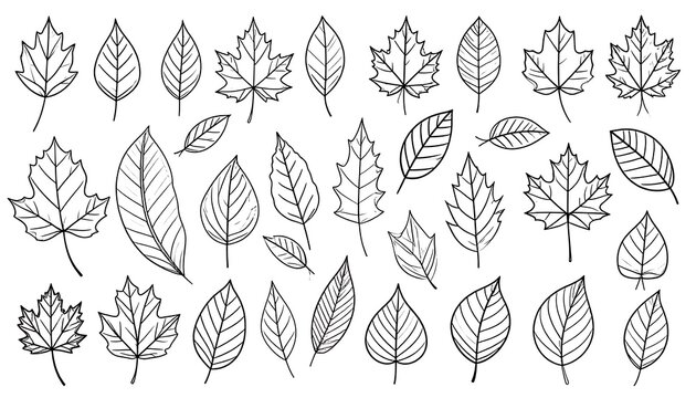 Sketchy fall foliage set