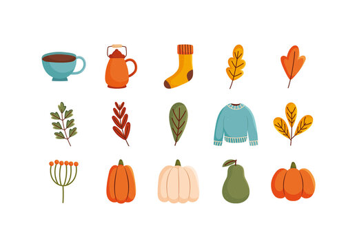 Autumn Leaves Harvest Illustration Set