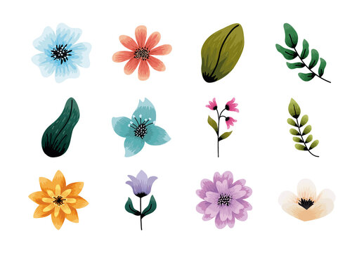 Mothers Day Flowers Illustration Set