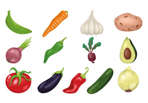 Vegetable Food Illustration Set