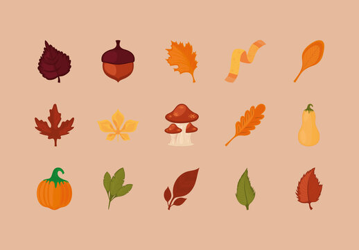 Autumn Nature Illustration Set