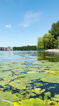A peaceful walk unfolds along the Ternopil Pond in Ternopil, Ukraine, where calm waters and lush surroundings create a serene urban retreat.
