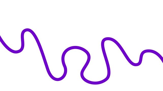Animated violet tape appear and disappear. Decorative line with smooth. Looped video. Linear vector illustration isolated on white background.