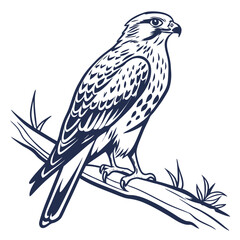 Fototapeta premium Blue illustration of a hawk on a branch