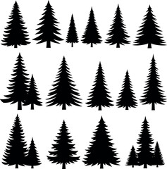 Fototapeta premium Set of black conifer tree silhouettes including pine and fir trees in various heights and shapes with silhouette evergreen christmas landscape environment collection vegetation