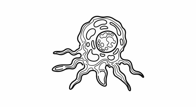 Outline of a complex amoeba-like cell with internal structures