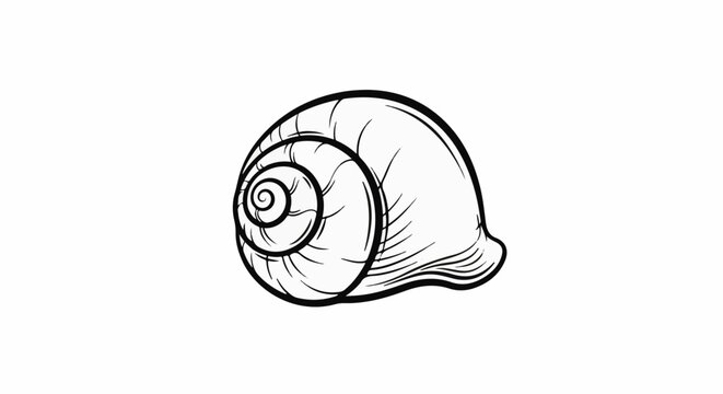 Stylized line drawing of a spiral snail shell on a white background