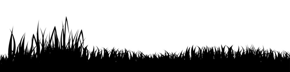 Naklejka premium Meadow silhouette with grass, plants on plain. Panoramic summer lawn landscape with herbs, various weeds. Herbal border, frame element. Black horizontal banners. Vector illustration