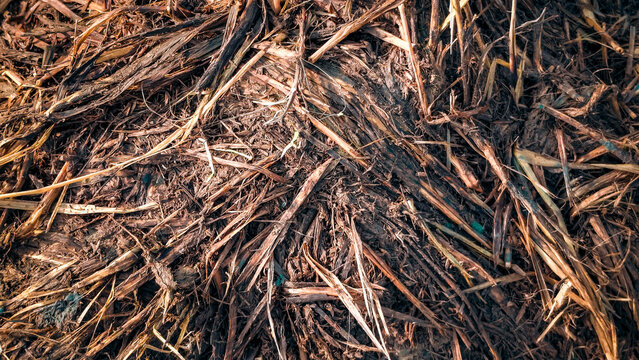 Dry organic mulch and decomposing plant material layering soil, adding beneficial nutrients, and enriching agricultural ground