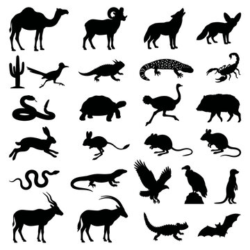 black and white vector silhouette set of desert animals