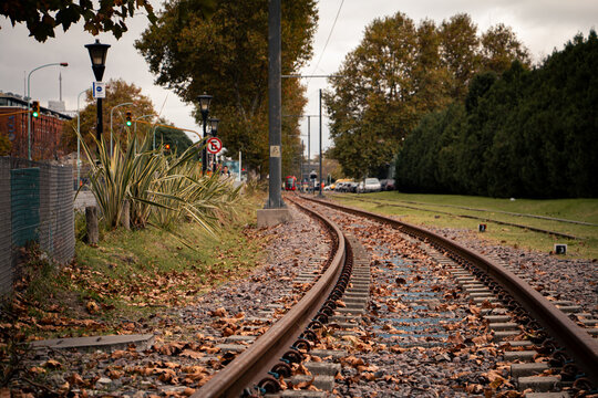 tren