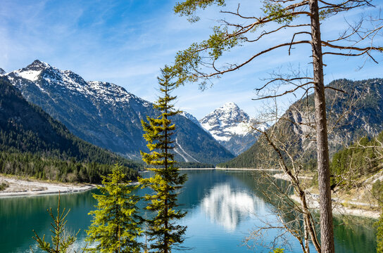Alpine lake Plansee with crystal-clear water reflecting snow-capped mountains, framed by pine trees under blue sky, scenic landscape in Tyrol, Austria