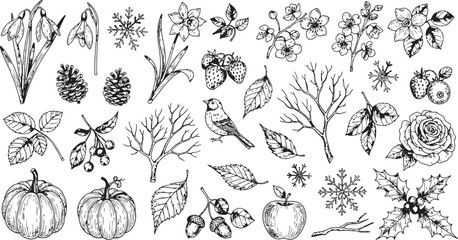 Hand Drawn Botanical Elements Representing All Seasons In A Sketchy Style © Ishtiaq
