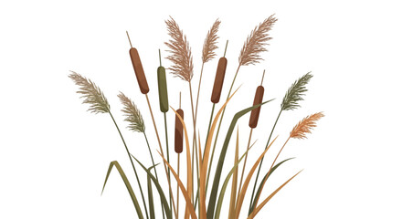 Fototapeta premium A serene landscape of cattails and grass swaying gently in nature