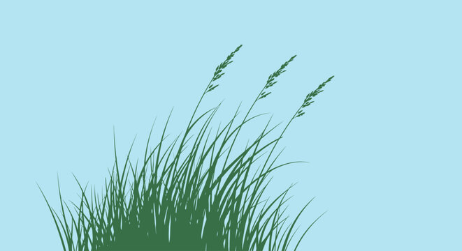 Green grass sways gently against a clear blue sky background