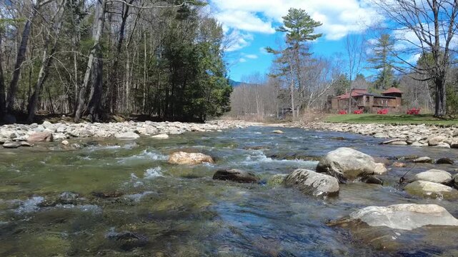running river in the forest