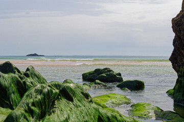 Naklejka premium Explorez la côte sauvage de Quiberon : 8 km de falaises déchiquetées, de criques secrètes et de vagues fracassantes. Un spectacle naturel grandiose et préservé, sculpté par les vents et l'océan.