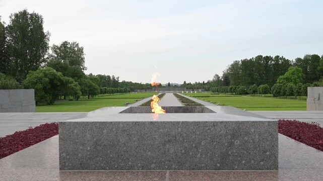 Eternal flame at the Kremlin walls. Shooting at the eternal flame. Grave of the Unknown Soldier is a memorial located near the Piskarevsky Memorial Cemetery. Saint Petersburg, Russia